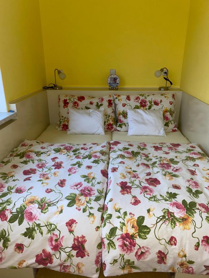 Rodinny 3+1 Apartment Horni Mesto